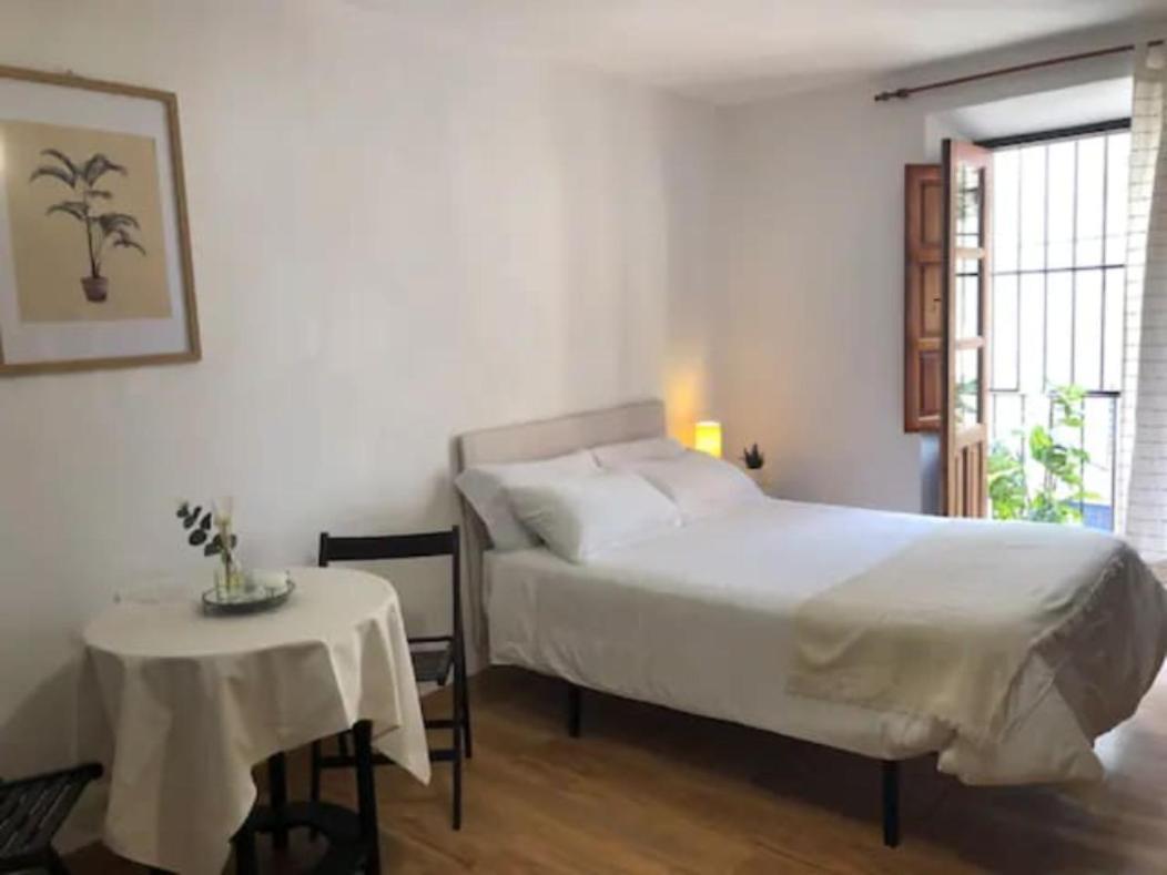 Apartamento Completo Reformado En Arco De Elvira - Centro Granada Ngoại thất bức ảnh