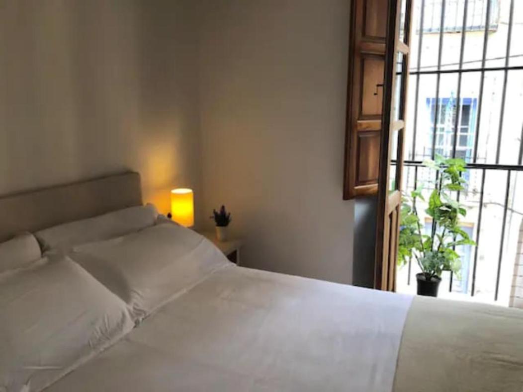 Apartamento Completo Reformado En Arco De Elvira - Centro Granada Ngoại thất bức ảnh